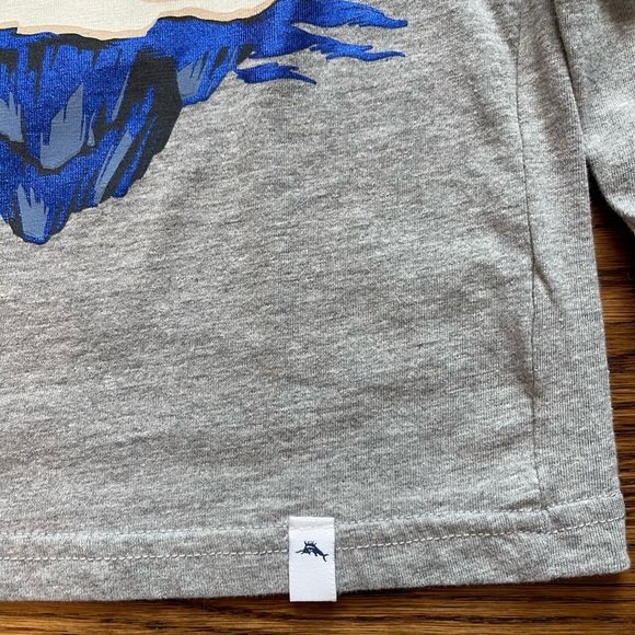 Tommy Bahama Boys Gray Long Sleeve Polar Bear Christmas Holiday T-Shirt Size 4 - Picture 5 of 10